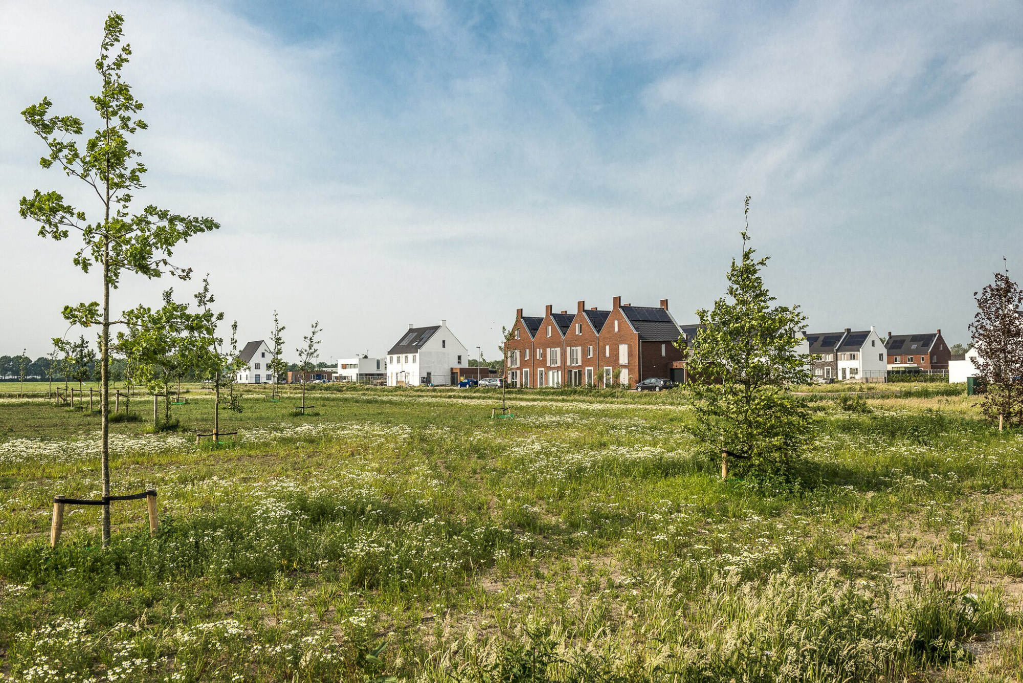 Aria fase 10 te Goes